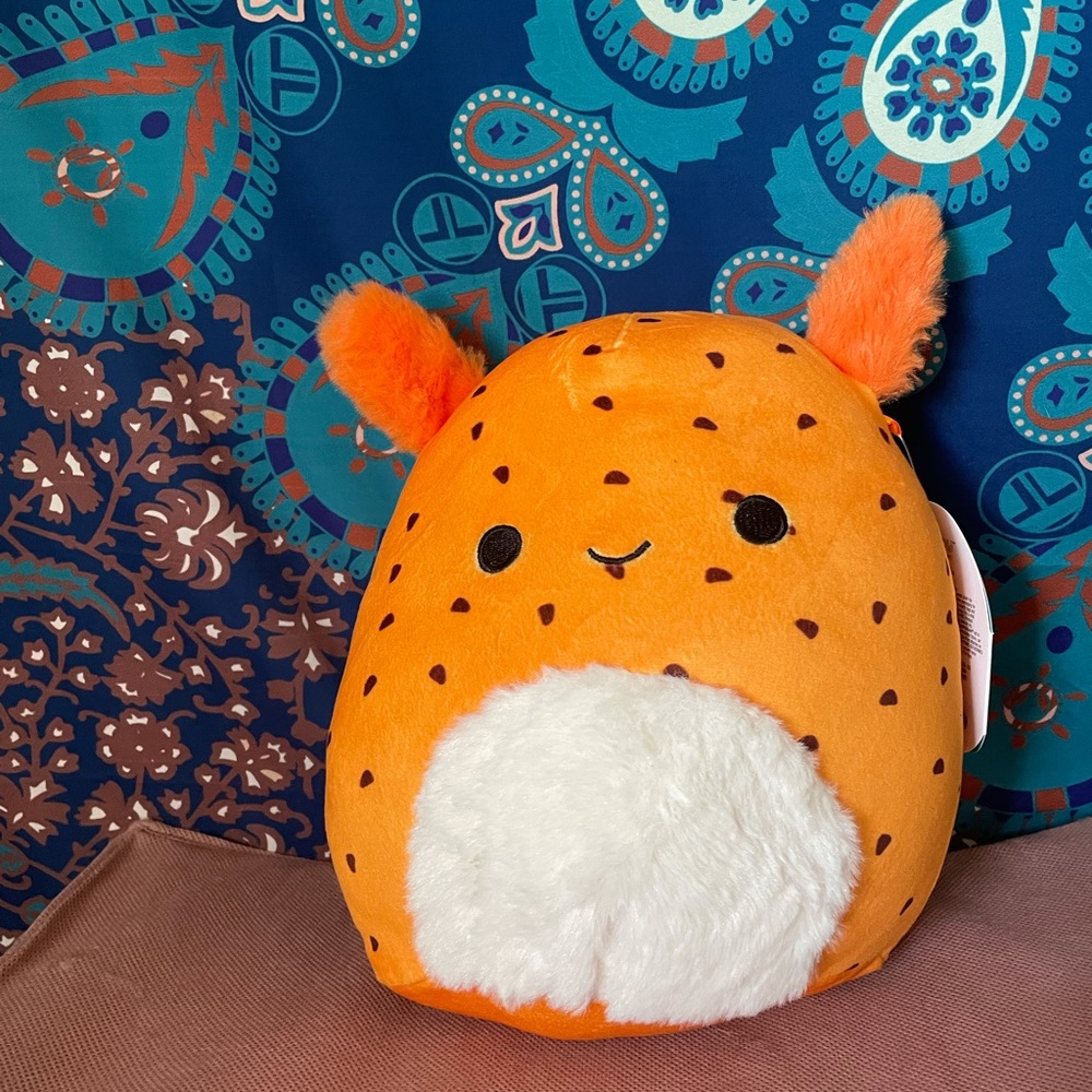 Tenzing the sea bunny squishmallow!